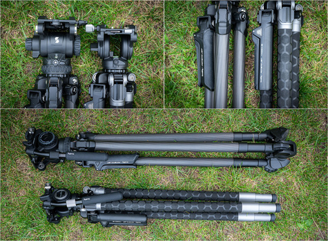 Understanding Why Weight Loss Myths Persist