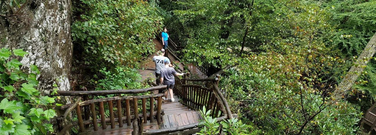 Nature and Outdoors