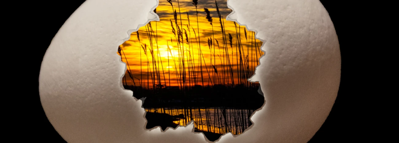 Sunrise & Sunsets