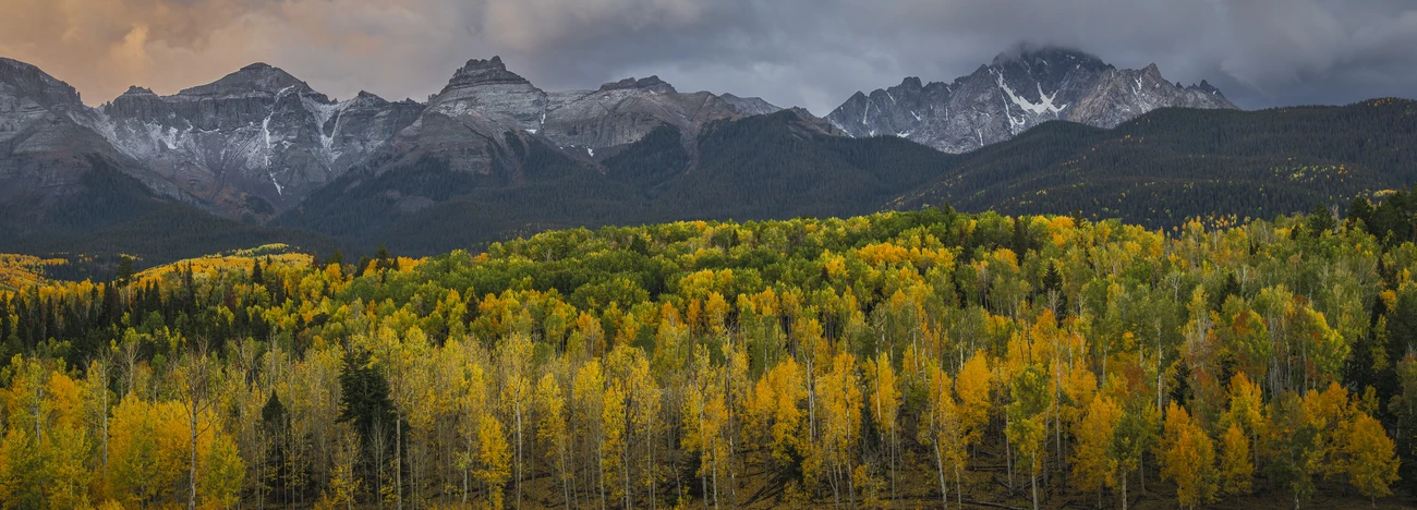Colorado Collective
