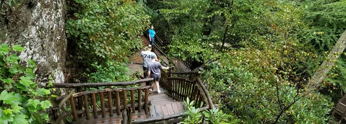 Nature and Outdoors