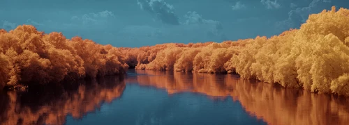 Infrared Photography
