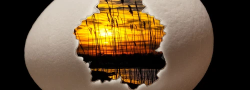 Sunrise & Sunsets