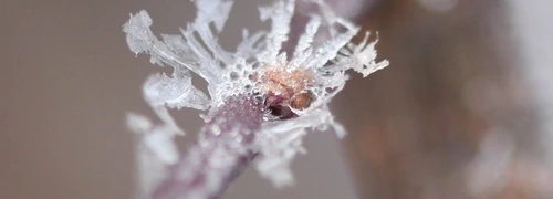 Winter 2.0