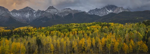 Colorado Collective