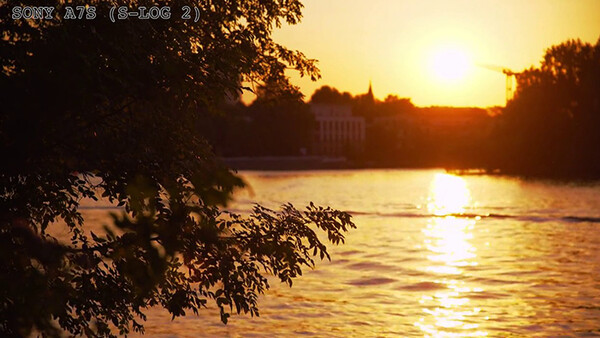 EOSHD Crowns A7S King of Video, Deposes Canon 5D Mark III Magic Lantern