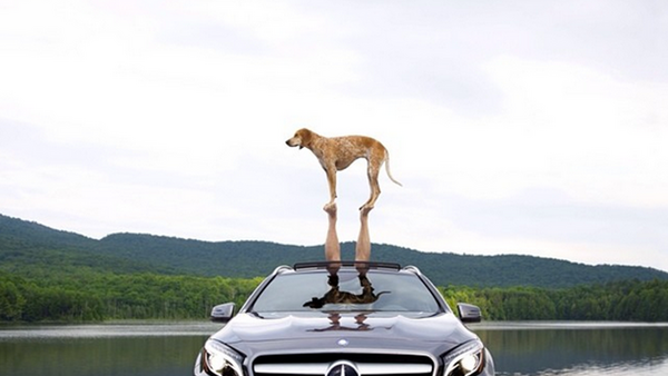 Mercedes-Benz USA Wins on Instagram (Again) with #GLAPacked Campaign