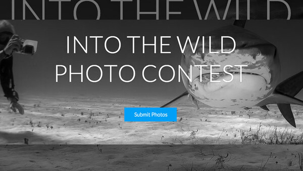 Weekly Contest: Win a Manfrotto Bumblebee Pro Light Backpack!