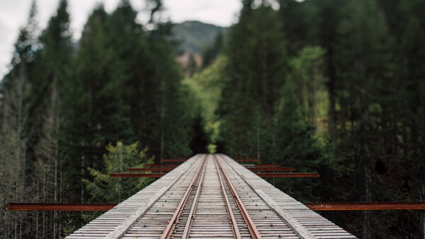 A Look at a Local Secret Gone Viral - Vance Creek Bridge