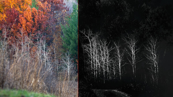 The Top Five Nik Color Efex Pro Filters For Superb Landscape Photos