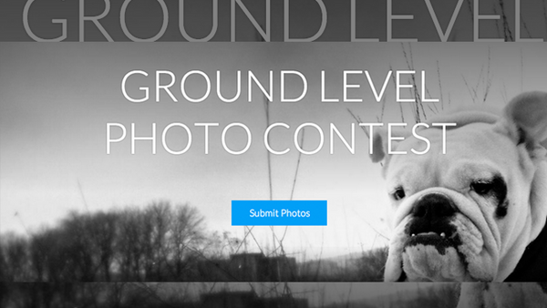 Weekly Contest: Enter for Free and Grab Yourself a Year of SmugMug Pro