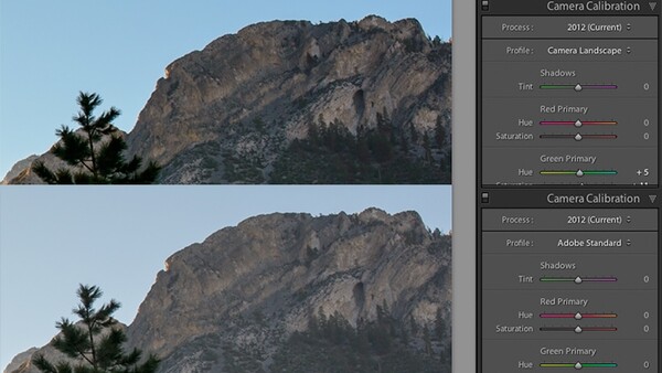 Restore that "Back of the Camera" Look in Adobe Lightroom 5