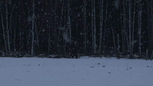Learn How to Quickly Add and Manipulate Realistic Snow to Your Videos in After Effects