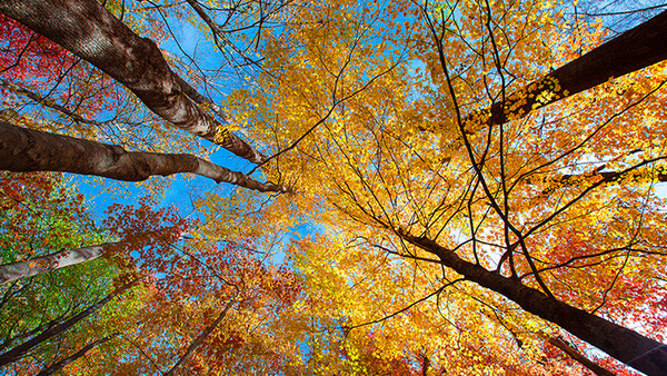 'More Than Just Parks' Aims To Create Short Films From All 59 National Parks