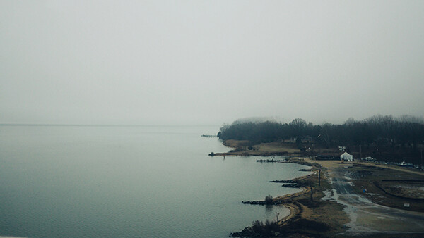 VSCO Introduces The Alchemy Collection for iOS & Android