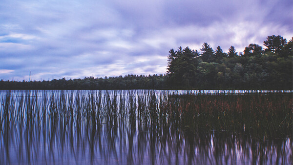 5 Simple Ways to Become a Better Photographer