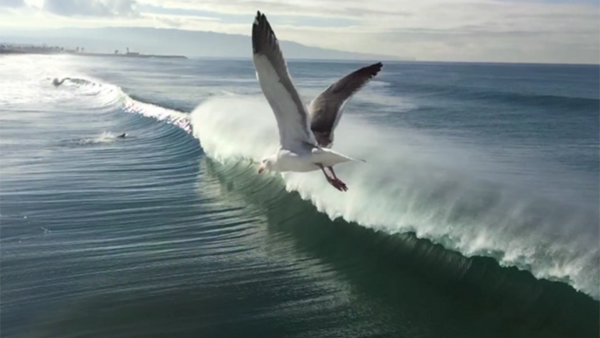 Seven Stunning Films Added to Apple's iPhone 6 World Gallery Collection Worth Checking Out