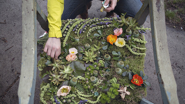 Beauty Blooms in Blight: Striking Photos Show Burst of Color in Forgotten Home