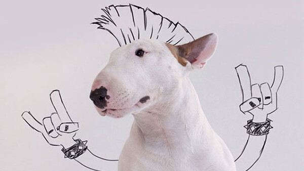 Husband Starts Amazing Photo Series after Wife Leaves Him with Nothing but the Dog