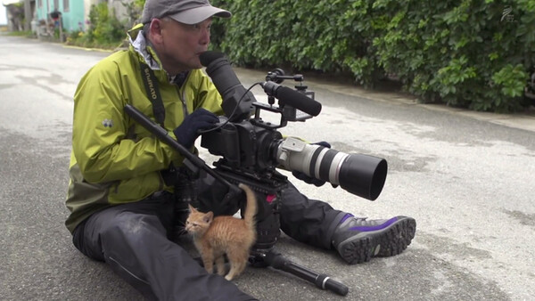 Japanese Wildlife Photographer Travels the Globe to Film Cats of the World