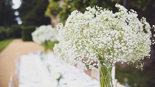 Should Wedding Photographers Sign Insulting General Release Waivers?