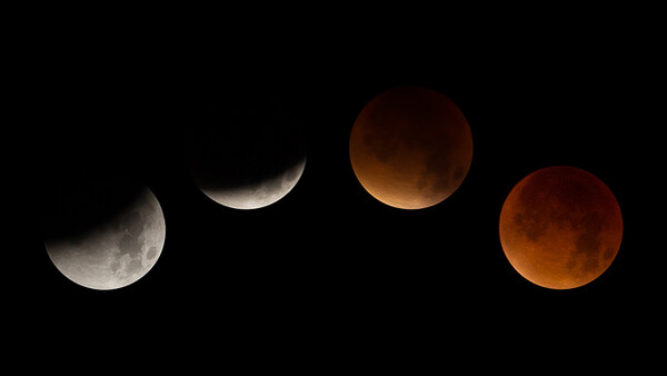 Did You Photograph the Rare Supermoon Lunar Eclipse? Here Are Some of the Best Shots from Social Media