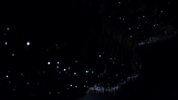 Canon's New Ultra-Sensitive Camera Shows Incredible Video of the Milky Way and an Awesome Glowworm Cave