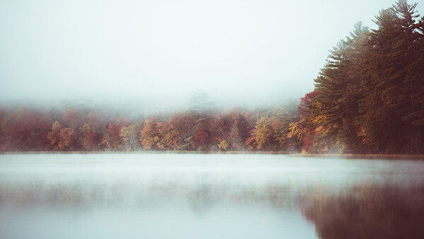 Five Words That Describe a Successful Photographer