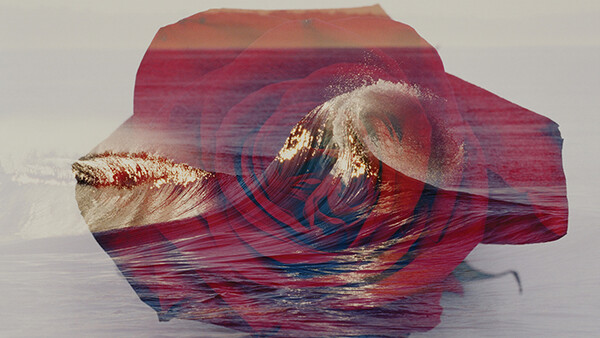 Double Exposure Surf Art; The Most Refreshingly Analog Thing You Will See This Week