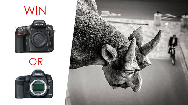Win a Canon 5D MK III or Nikon D800 in This Free Photo Contest!