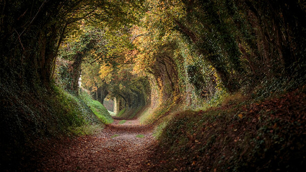 Nature Photo Contest: Win a Canon 5D MK III or Nikon D800