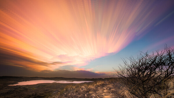The Real Versus the Beautiful (Part 1): The Desert of the Real
