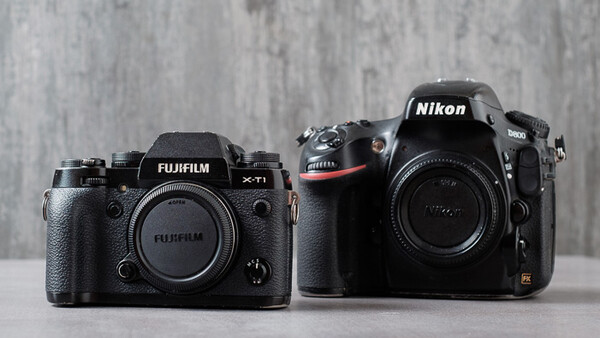 Choosing Your Next Camera Body for Photography