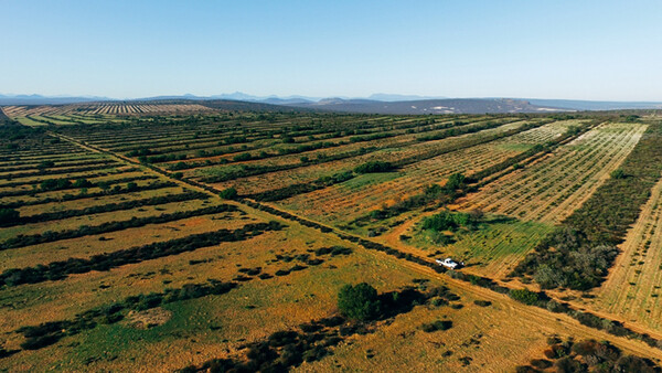 An Untapped Market: Agricultural Aerial Photography