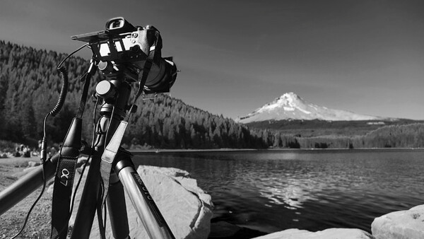 Featured Images from the Fstoppers Instagram Weekend Hashtag Project: Black and White Photography
