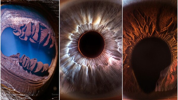 Suren Manvelyan: The Person Behind ‘Your Beautiful Eyes’ Extreme Macro Photography