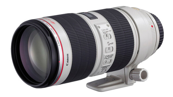 Canon Extends Rebate Program on Lenses and Cameras