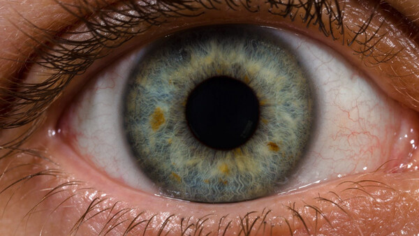 Science Shows Your Eyes Are Better Than Your Camera at Detecting Light