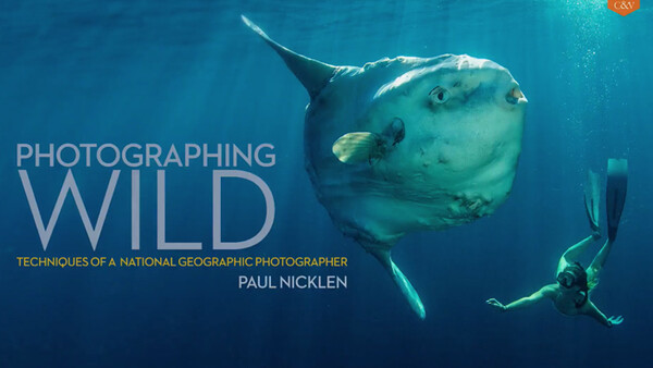 Paul Nicklen's New Book, 'Photographing Wild': Learn From a National Geographic Photographer