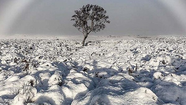 Photographer Captures Rare 'Fog Bow' Over the Snow-covered Scottish Moors