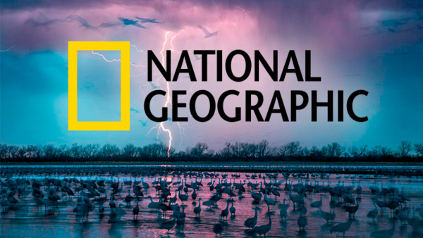 National Geographic's Best 52 Photos of 2016