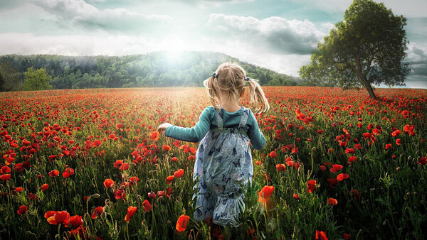 500px Launches Worldwide Photographer Listings Called 'Directory' and Announces Partnership with Adobe Stock