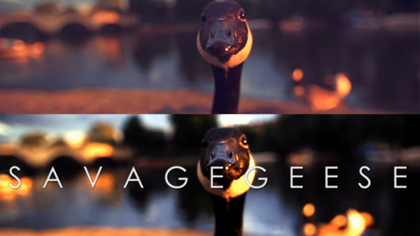 Copyright Catastrophe: Philip Bloom Finds His Footage in Opening Title Sequence