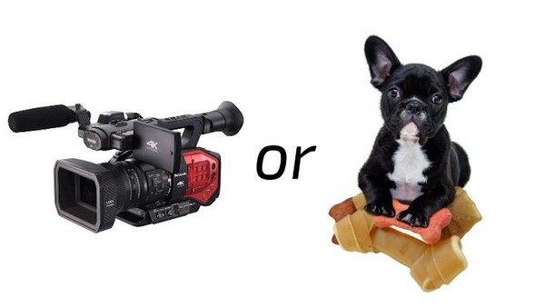 Before You Buy That Camera Gear Think About What Else You Can Afford