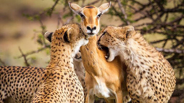 The Truth About This Viral Photo Revealed – By The Photographer Who Took It