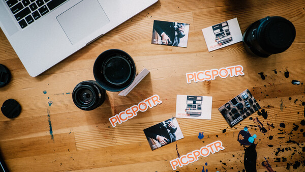 Picspotr: A New Online Business Management Database