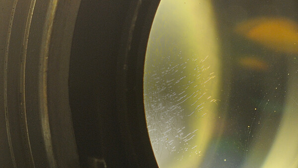 Fighting Gear Fungus? Meet Your New Best Friend