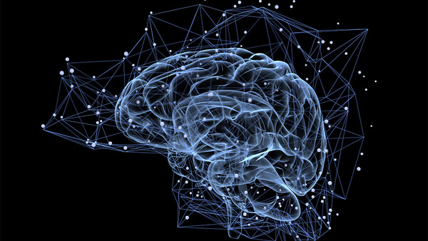 Mindset: Can Skill Alone Bring Success?