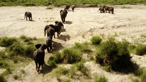 Check Out This Gorgeous Drone Footage of South Africa