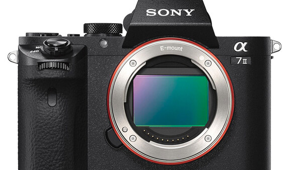 Sony Has Overtaken Nikon in the U.S. Full-Frame Camera Market